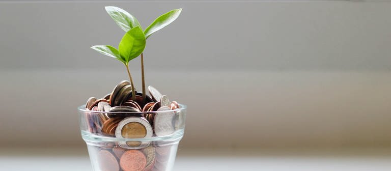 Ein mit Kleingeld gefülltes Glas mit zwei Keimlingen. Wo sollte man derzeit am besten Geld anlegen, um die Inflation auszugleichen? (Foto: Unsplash/Micheile.com)