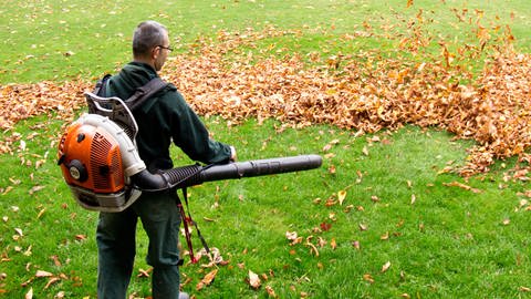 Mit einem Laubbläser treibt ein Gärtner das Herbstlaub in einem Park zusammen. (Foto: dpa Bildfunk, picture alliance/Christian Charisius/dpa)