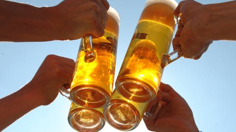 Vier Personen stoßen mit vier Gläsern Bier an, aufgenommen am 21.04.2009 in Leipzig (Sachsen).  (Foto: dpa Bildfunk, Picture Alliance)