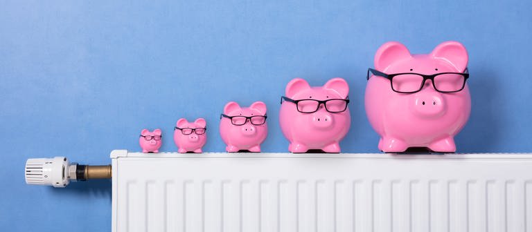 Fünf pinke Sparscheine mit Brillen stehen auf einem Heizkörper vor einer blauen Wand. Viele Anbieter bieten für Neukunden Gas und Strom wieder billiger an. Was müssen Verbraucher tun, um davon zu profitieren und den Anbieter zu wechseln? (Foto: Getty Images, Getty Images/iStockphoto)