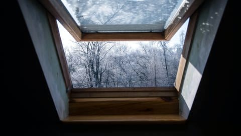 Durch ein gekipptes Dachfenster sieht man einen kleinen Wald (Foto: Anna Dudkova/unsplash.com)