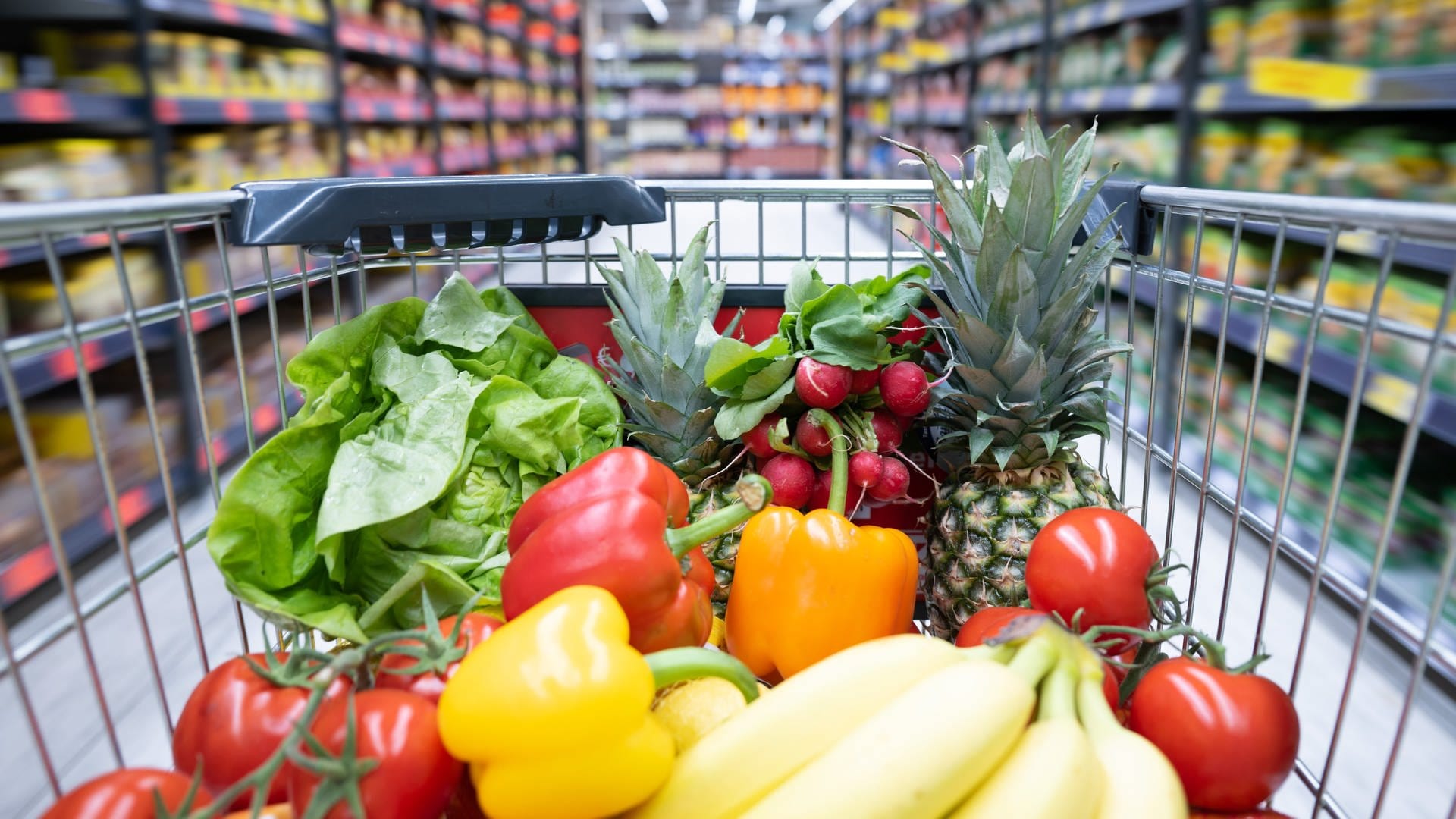 Ein Einkaufskorb mit Obst und Gemüse steht in einem Supermarkt.  (Foto: dpa Bildfunk, picture alliance/dpa | Sebastian Kahnert)