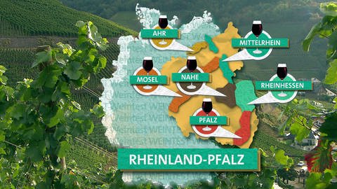 Auch in den zahlreichen Weinregionen von Rheinland-Pfalz gibt es vielseitige Rotweine. (Foto: SWR, SWR Marktcheck)
