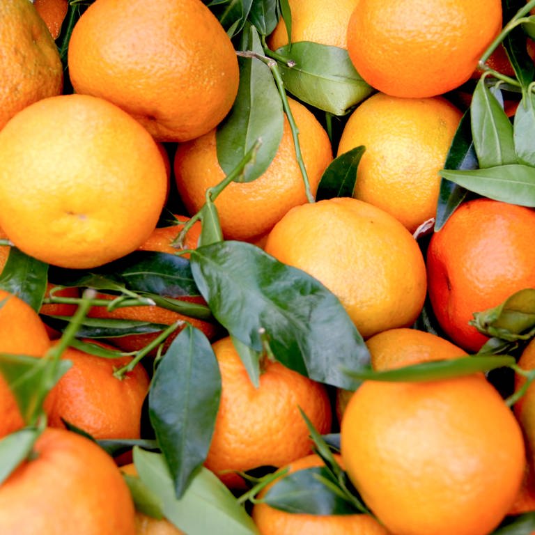viele frisch gepflückte Orangen mit Stiel und Blättern (Foto: unsplash)