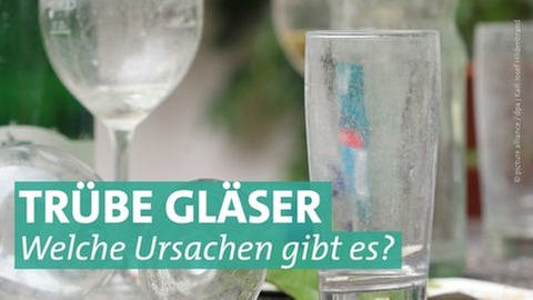 Verschiedene trübe Gläser, Welche Ursachen gibt es und was kann ich dagegen tun? (Foto: dpa Bildfunk, Picture Alliance / Karl-Josef Hildenbrand)