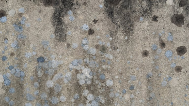 Einzelne Schimmelflecken auf einer grauen Wand. Nicht immer ist Schimmel mit dem bloßen Auge zu erkennen. Lüften im Sommer bei feuchter Luft hilft nicht. (Foto: Andrew Small/unsplash.com)