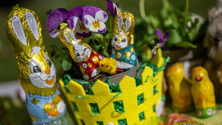 Osterhasen und Schokoladen-Küken stehen in einem Garten zwischen blühenden Stiefmütterchen.  (Foto: dpa Bildfunk, Picture Alliance)