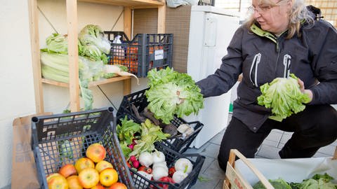 Frau in Foodsharing-Laden sortiert Salat in Regal ein