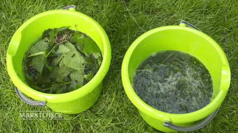 Brennnesseln und andere grüne Pflanzenteile schwimmen in zwei grünen Plastikeimern in Wasser. Dünger wie Brennnesseljauche kann man leicht selber machen.