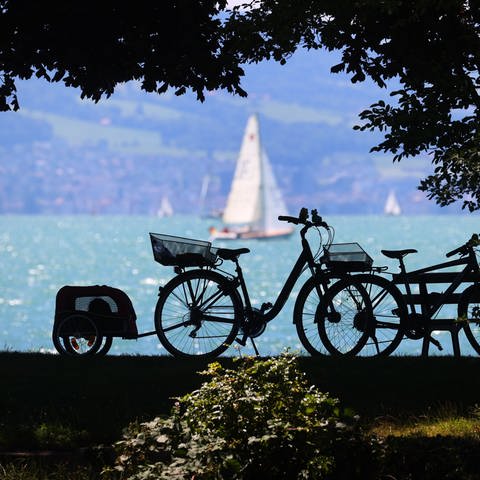 Segelboote fahren hinter am Ufer abgestellten Fahrrädern über den Bodensee.
