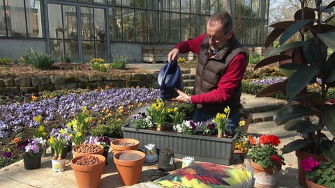 Volker Kugel, Leiter des Blühenden Barocks, gießt Blumen. (Foto: SWR)