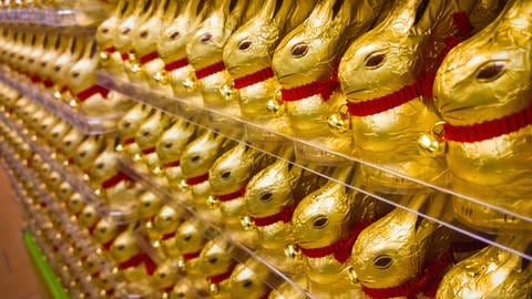 Ein Regal voller Schokoladen-Osterhasen von Lindt. Marktcheck macht den großen Lindt-Test