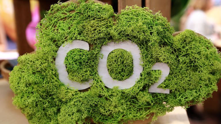 CO2 kompensieren: Kunden können Treibhaus Gase ausgleichen