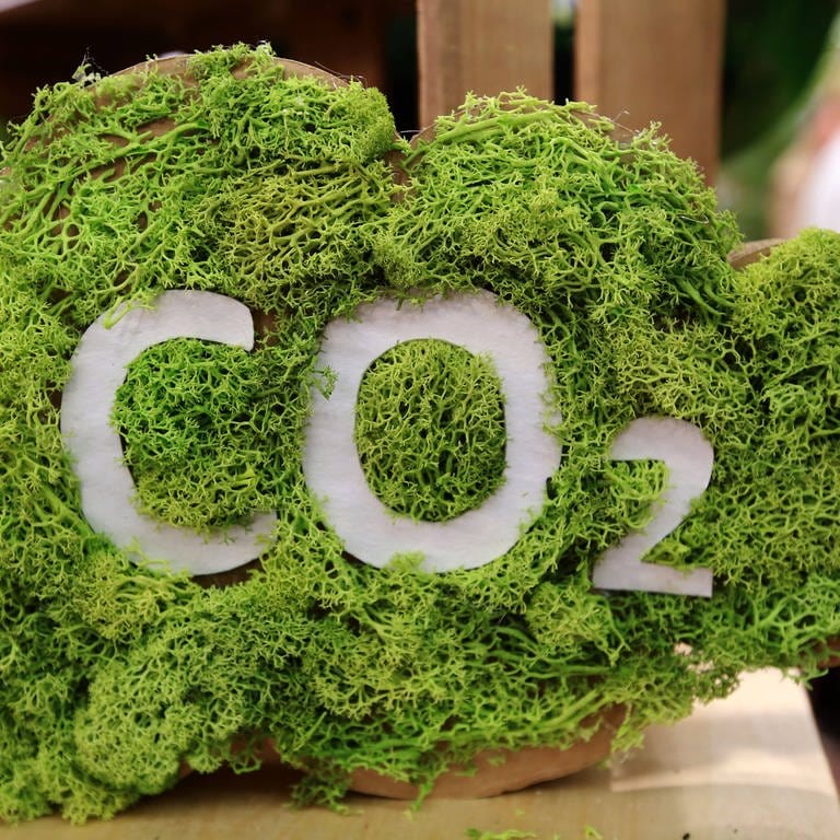 CO2 kompensieren: Kunden können Treibhaus Gase ausgleichen (Foto: IMAGO, IMAGO / Cord)