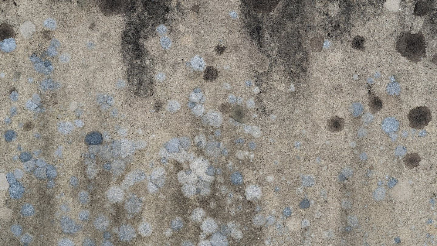Einzelne Schimmelflecken auf einer grauen Wand. Nicht immer ist Schimmel mit dem bloßen Auge zu erkennen. Lüften im Sommer bei feuchter Luft hilft nicht. (Foto: Andrew Small/unsplash.com)
