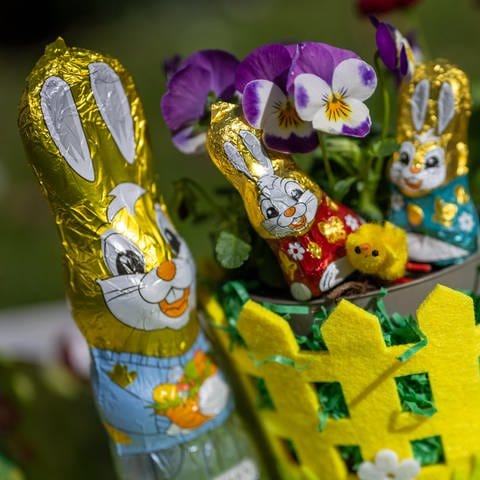 Osterhasen und Schokoladen-Küken stehen in einem Garten zwischen blühenden Stiefmütterchen. 