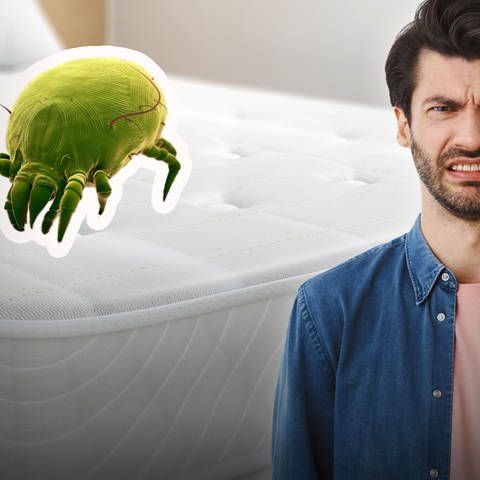 Mann schaut verekelt und steht vor einer Matratze mit einer Milbe. Wie und wie häufig Matratze reinigen?