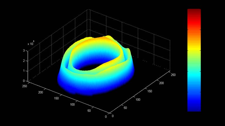 Nudel unter dem Kernspin - es zeigen sich nun zwei Ringe mit verschiedenen Schattierungen von Blau, Hellblau, Grün und Gelb. Zwischen den beiden Ringen ist noch Platz. (Foto: Max-Planck-Institut)