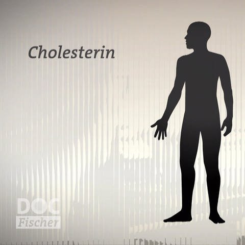 Grafik Cholesterin (Foto: SWR)
