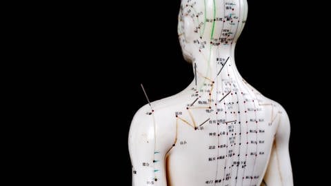 Ein Modelkörper steht mit dem Rücken zugewand zum Auge des Betrachters. Auf dem Körper und Kopf sind die Meridiane und Akupunkturpunkte abgebildet. In vereinzelten Punkten stecken Akupunkturnadeln. (Foto: AdobeStock/geargodz)