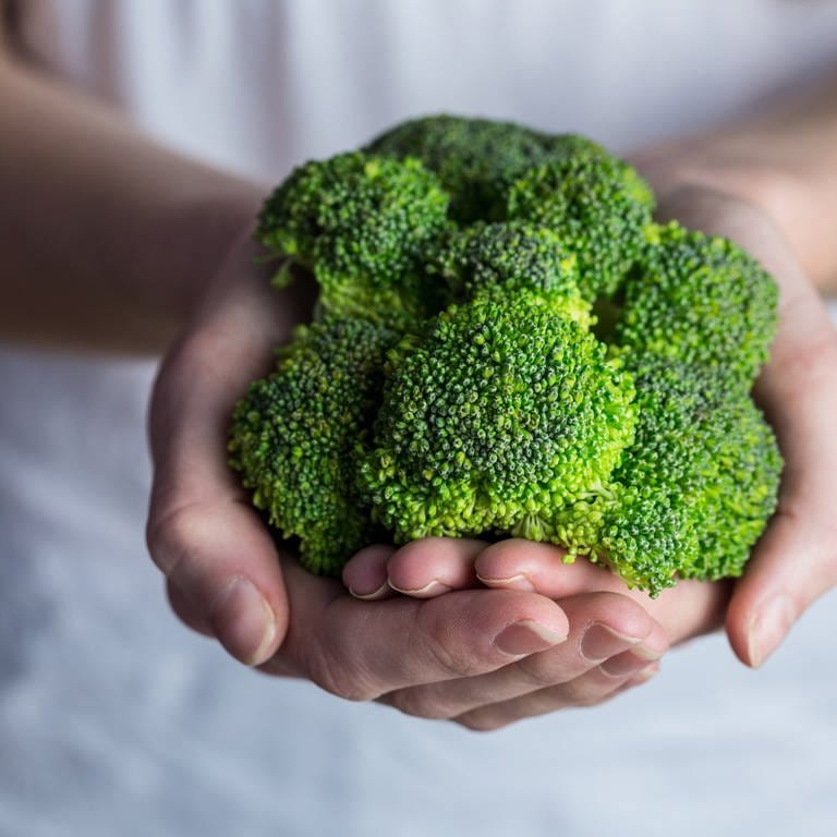 Zwei Hände umschließen einen Brokkoli. Das Superfood steckt voller Vitamine, Mineralstoffe und sekundärer Pflanzenstoffe. Schützt Brokkoli sogar vor Krebs? (Foto: Adobe Stock)