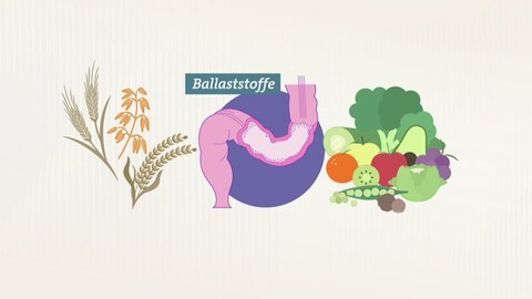 Grafische Darstellung verschiedener Vollkorn-Getreide kinks, mittig einem Darm und rechts verschiedene Gemüse- und Obstsorten.  (Foto: SWR)