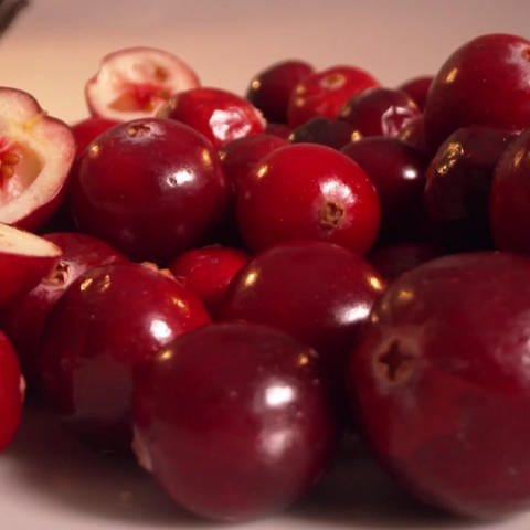 Cranberries (Foto: SWR)