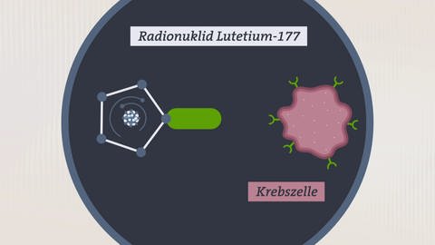 Funktionsweise der PSMA-Therapie. Links ist das Radionuklid Lutetium-177 zu sehen, rechts die Krebszelle mit den Stellen, an die angedockt wird. (Foto: SWR)