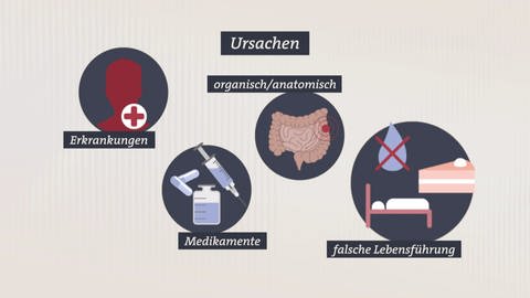 Ursachen chronischer Verstopfung: Erkrankungen, Medikamente, organischeanatomische Ursachen, falsche Lebensführung (Foto: SWR)