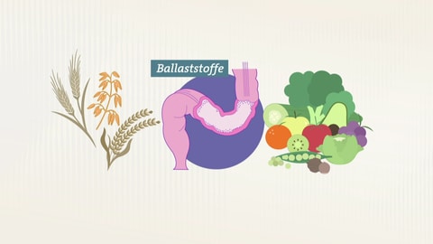 Grafische Darstellung verschiedener Vollkorn-Getreide kinks, mittig einem Darm und rechts verschiedene Gemüse- und Obstsorten. 