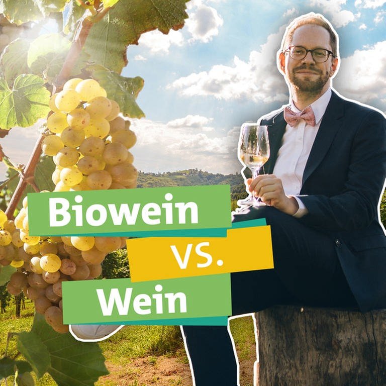 Ökochecker Tobias Koch genießt in den Wenbergen ein Glas Wein: Bio-Wein oder Wein aus konventioneller Herstellung - welche Herstellungsweise ist nachhaltiger? (Foto: SWR)