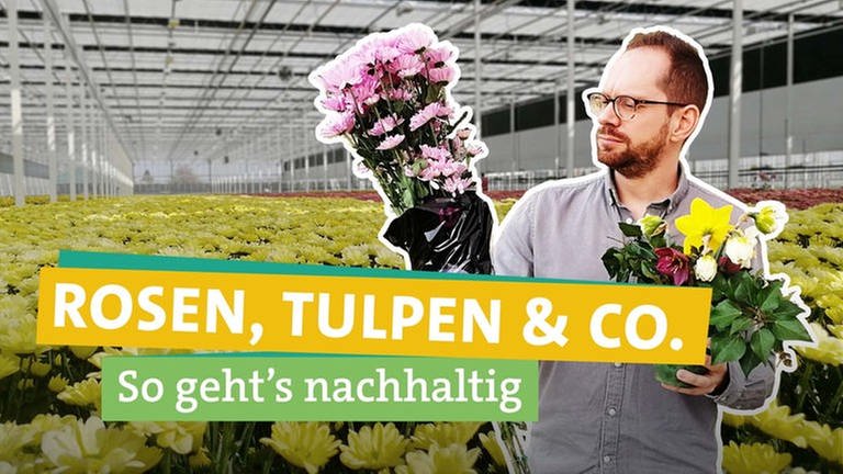 Ökochecker Tobias Koch steht vor einem Gewächshaus voller Blumen. Schnittblumen stammen häufig aus Afrika und werden dann mit dem Flugzeug nach Europa gebracht. Oder sie stammen aus beheizten Gewächshäusern in den Niederlanden.  (Foto: SWR)