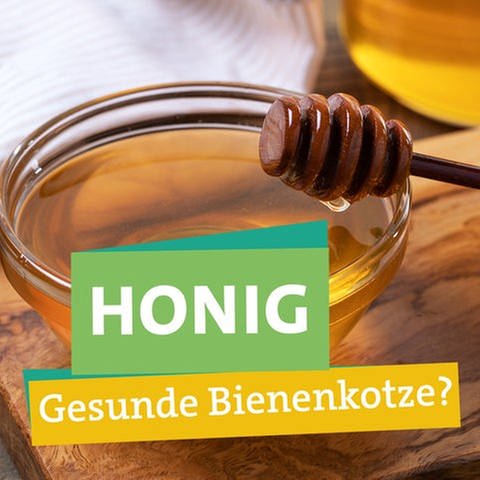 Welcher Honig ist der nachhaltigste? In der rechten Bildhälfte hält Ökochecker Tobias Koch ein Honig-Glas in seiner rechten Hand. Links davon steht "Honig" "Gesunde Bienenkotze?" unterlegt mit farbigen Bändern. Im Hintergrund sieht man einen Honiglöffel an eine Schale voll Honig gelehnt. (Foto: SWR)