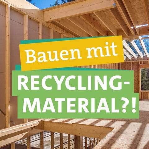 Ökocheckerin Katharina fragt sich wie Hausbau mit Recycling-Materialien funktioniert. (Foto: SWR)