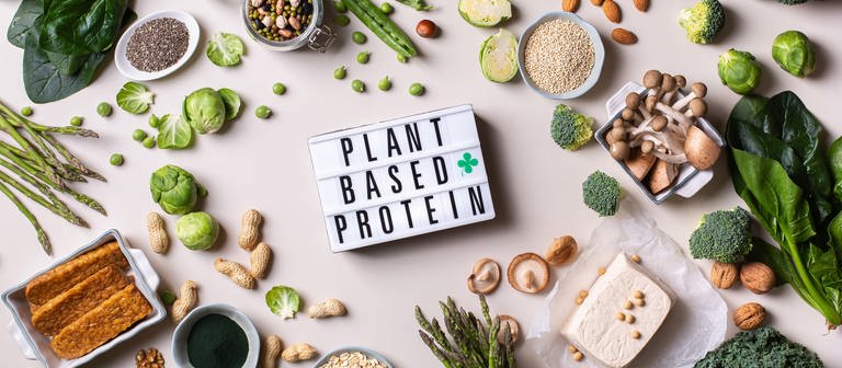 Verschiedene Lebensmittel, die pflanzliches Protein enthalten wie zum Beispiel Nüsse, Haferflocken oder Pilze. (Foto: AdobeStock/aamulya)