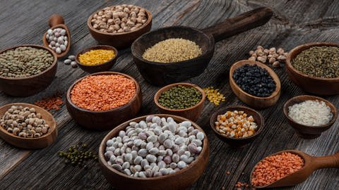 Verschiedene vegane Proteinquellen wie Hülsenfrüchte, Getreide und Kerne. (Foto: AdobeStock/mehmet)