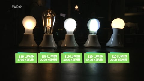 Verschiedene LED-Lampen sind auch einem Tisch aufgereiht. Sie brennen unterschiedlich hell und unterscheiden sich in der Farbwärme. Die Lumen- und Kelvinwerte sind jeweils angegeben. (Foto: SWR)