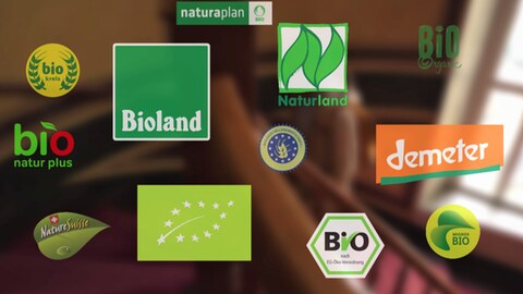 Auf einem unscharfen Hintergrund sind viele Bio-Siegel zu sehen. Unterandem die deutschen Öko-Siegel von Naturland, Bioland und Demeter, sowie das EU-Bio-Siegel, das deutsche Bio-Siegel und das Logo von Biokreis. (Foto: SWR)