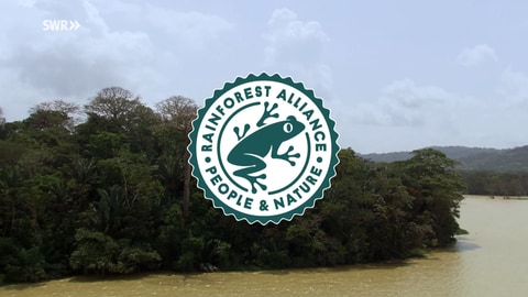 Mittig ist das grün-weiße Logo mit einem Frosch-Symbol der Rainforest Alliance Zertifizierung, das sich für den Schutz von Regenwäldern einsetzt. Im Hintergeund ist ein Fluss im Regenwald zu sehen. (Foto: SWR)