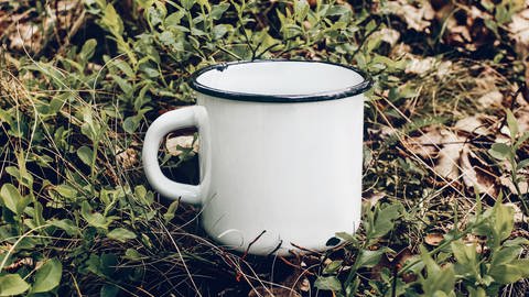 Eine weiße Tasse mit schwarzem Rand aus dem Material Emaille liegt  auf einem grünen Waldboden. (Foto: Adobe Stock)