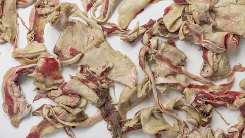Auf einer weißen Platte liegen verteilt Fleischabfälle und Schlachtnebenprodukte, wie Sehnen, Fleischabschnitte und Knorpel. (Foto: SWR)
