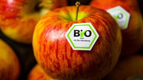 Das sechseckige Logo des deutschen Bio-Siegels klebt auf einem roten Apfel. Auf dem Siegel steht: Nach EU-Öko-Verordnung. (Foto: dpa Bildfunk, Picture Alliance)