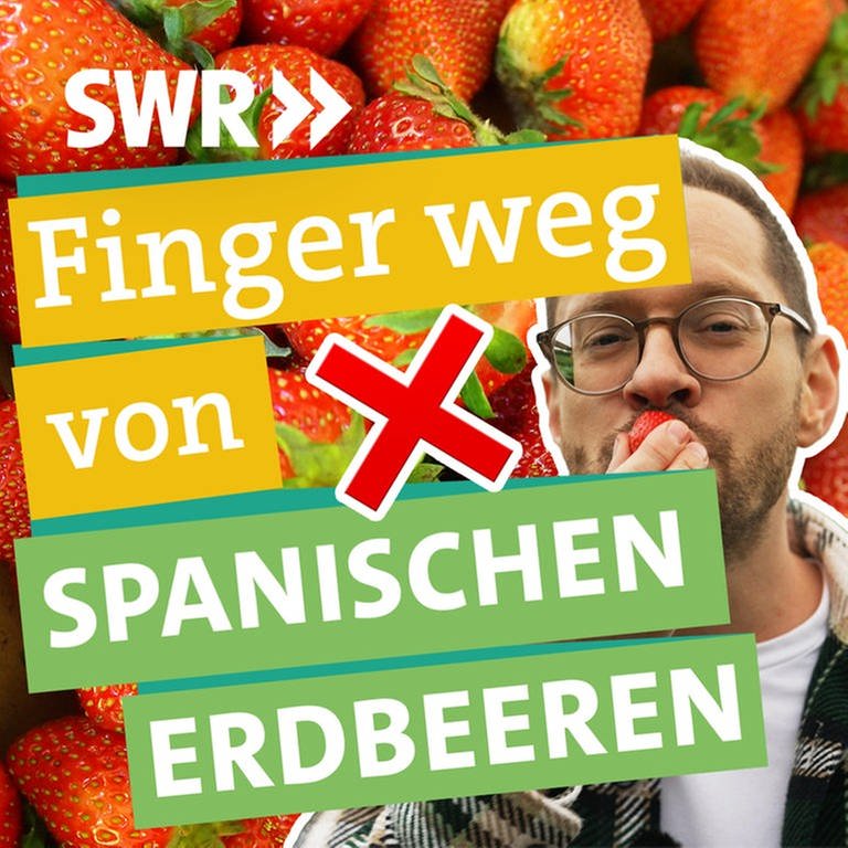 Ökochecker Tobi beißt in eine Erdbeere, darüber ein rotes Kreuz. Im Hintergrund Erdbeeren und der Text "Finger weg von spanischen Erdbeeren". (Foto: SWR)
