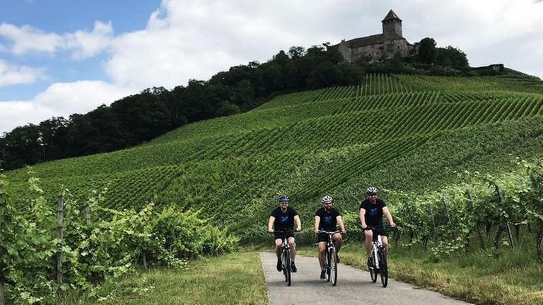 Drei Männer auf Fahrrädern, im Hintergrund Weinberge und Burg Lichtenberg (Foto: SWR, SWR -)