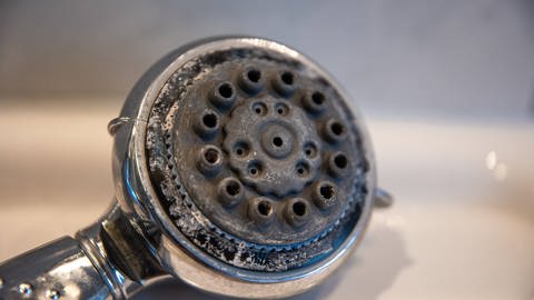 ein verkalkter Duschkopf von unten (Foto: IMAGO, imago)
