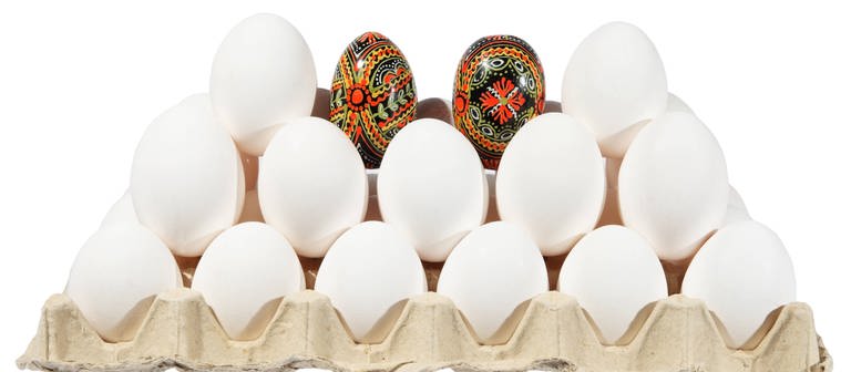 Weiße Eier in einer Eierpappe und ein farbiges Ei dazwischen  (Foto: imago images, Imago)