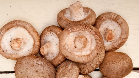 Nahaufnahme etlicher Shiitake-Pilze (Foto: IMAGO, Imago)