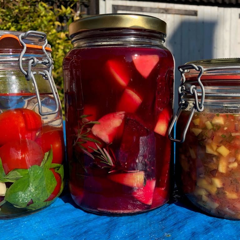 Zwei größere Drahtbügelgläser und ein Schraubglas stehen auf einem Tisch zum Fermentieren, jeweils gefüllt mit Tomaten, Rote Bete und einer Mango-Tomaten-Salsa.
