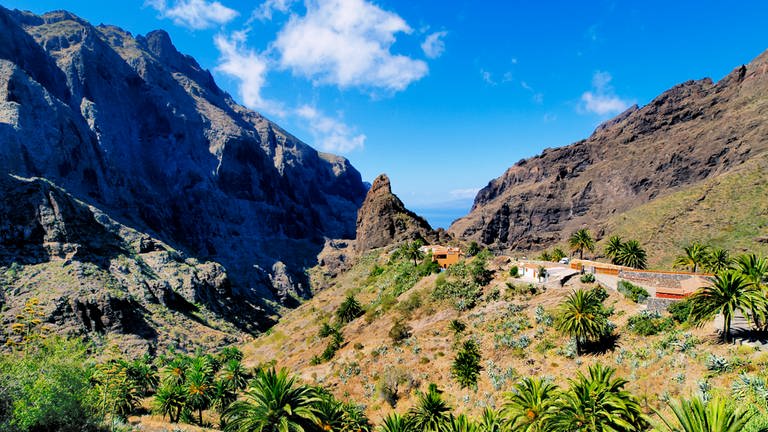 Die Landschaft Masca in Teneriffa mit blauem Himmel und strahlender Sonne. Was kostet Teneriffa Urlaub? (Foto: Colourbox)