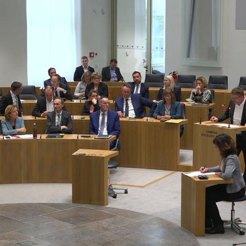 Landtag Rheinland-Pfalz: Ministerpräsidentin Malu Dreyer und weitere PolitikerInnen (Foto: SWR)